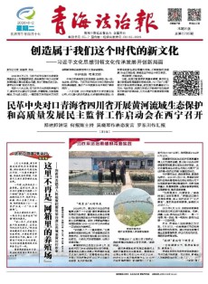 青海法治报